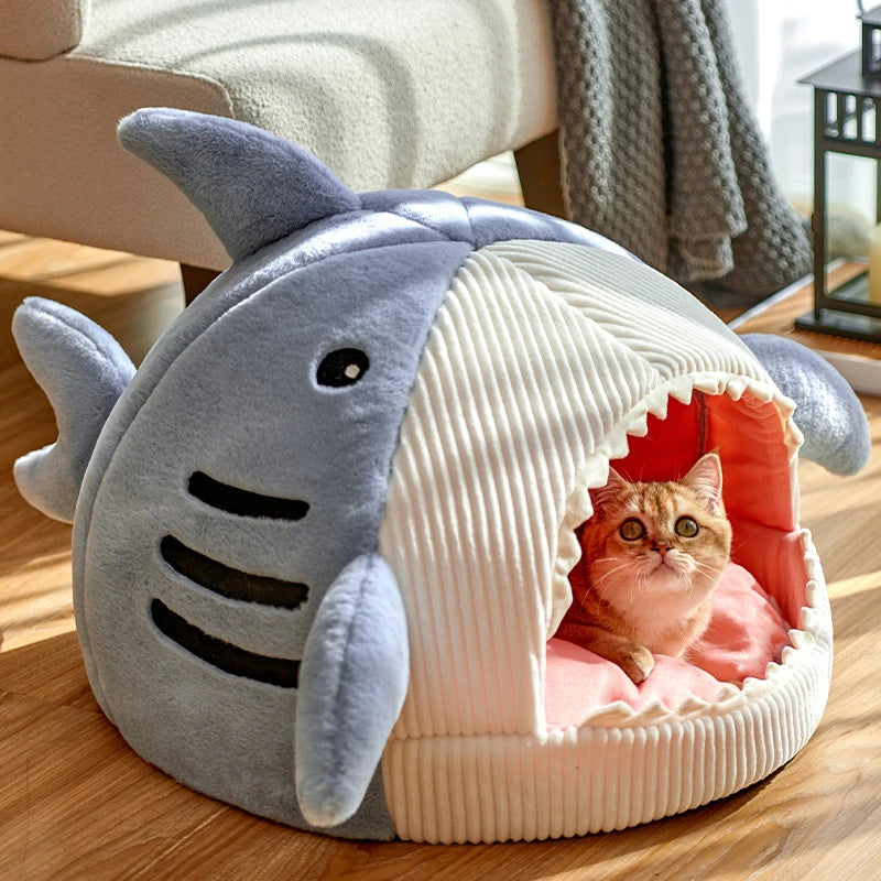 A Cozy Hideaway Shark Bed Your Pet Will Absolutely Love!
