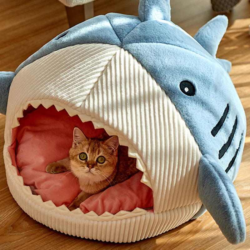 A Cozy Hideaway Shark Bed Your Pet Will Absolutely Love!