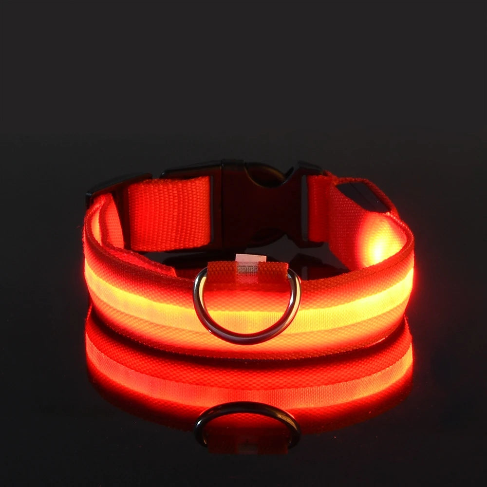 Light Up Their Walks – Glow-in-the-Dark Adjustable Dog Collar
