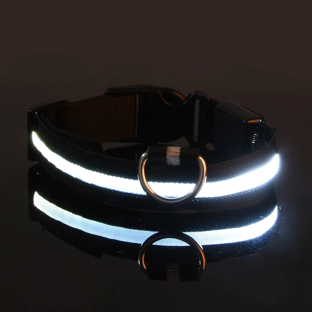 Light Up Their Walks – Glow-in-the-Dark Adjustable Dog Collar