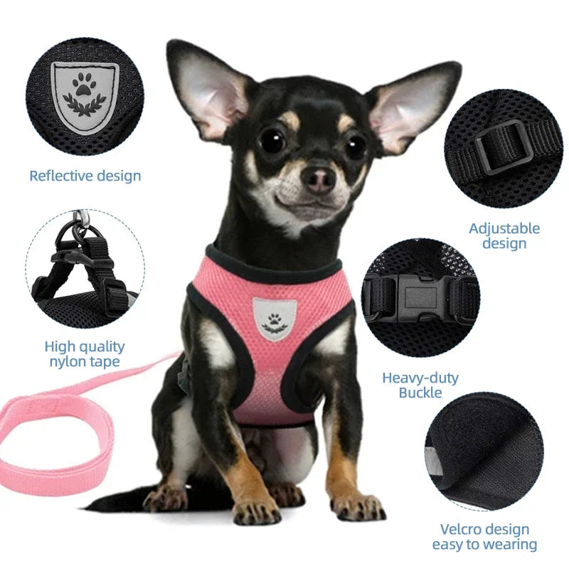 ComfortFit Dog Harness – Safer Walks, Happier Adventures!