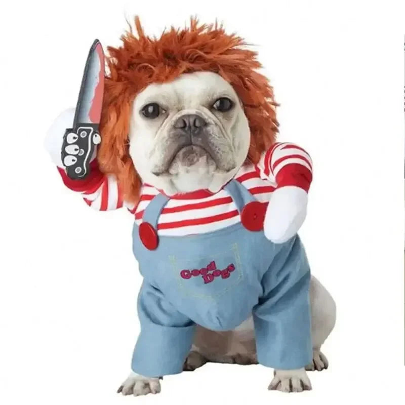 Dress Your Pet to Steal the Show!