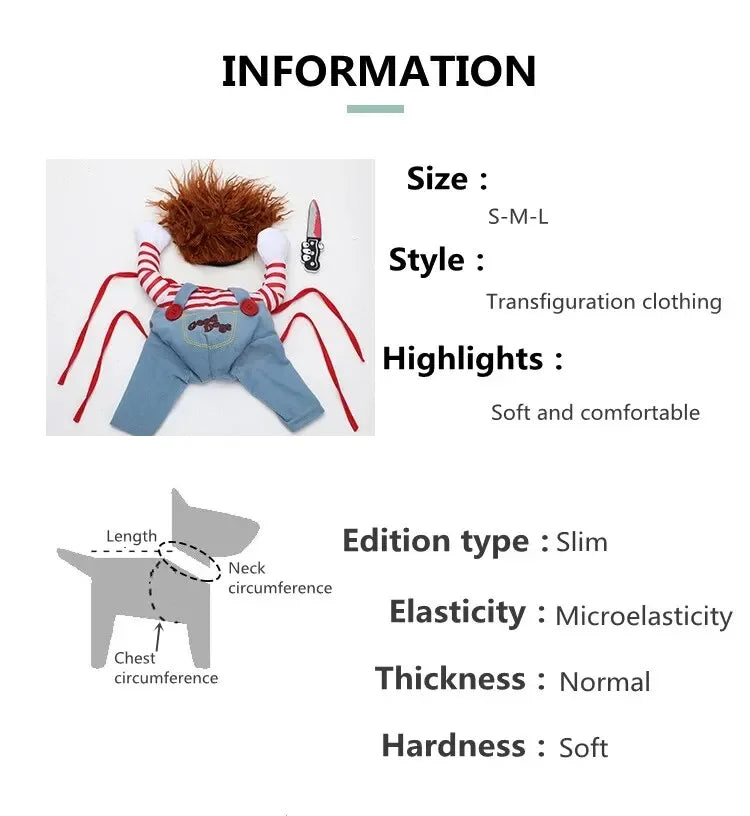 Dress Your Pet to Steal the Show!