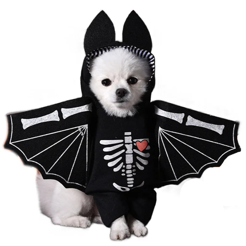 Dress Your Pet to Steal the Show!