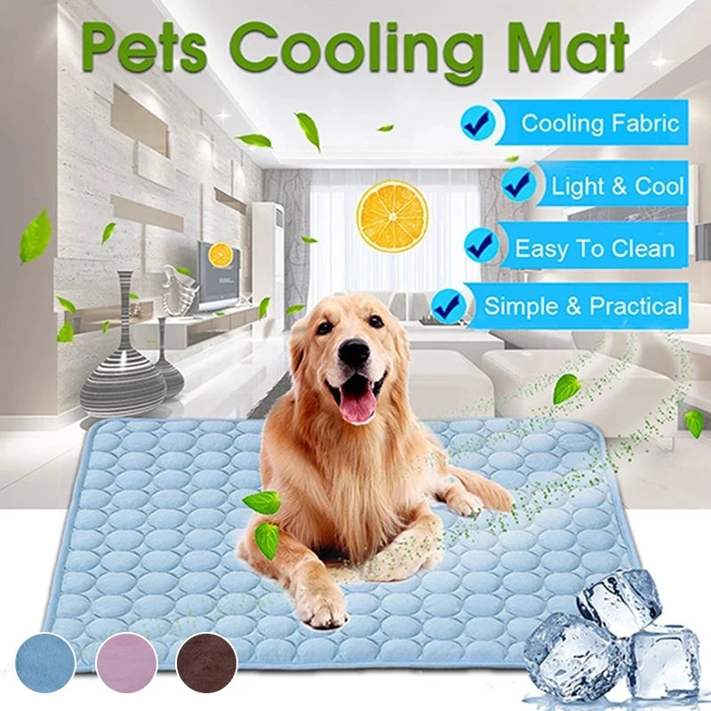 Keep Your Pet Cool, Comfortable, and Happy All Day Long!