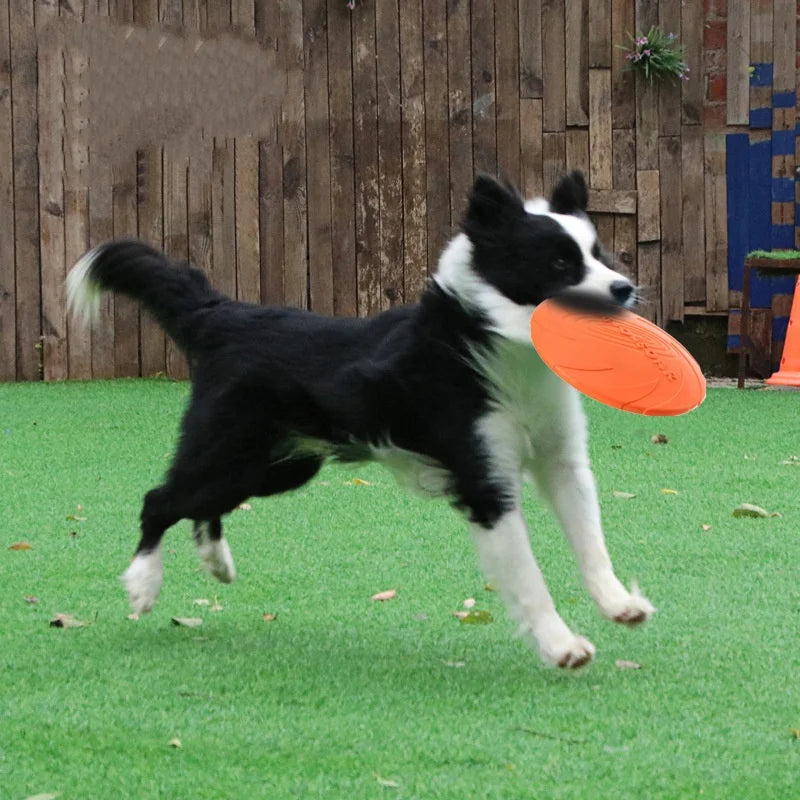Flying Disc Dog Toy – Pure Fun, Energy, and Happy Jumps!