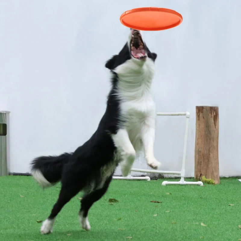 Flying Disc Dog Toy – Pure Fun, Energy, and Happy Jumps!