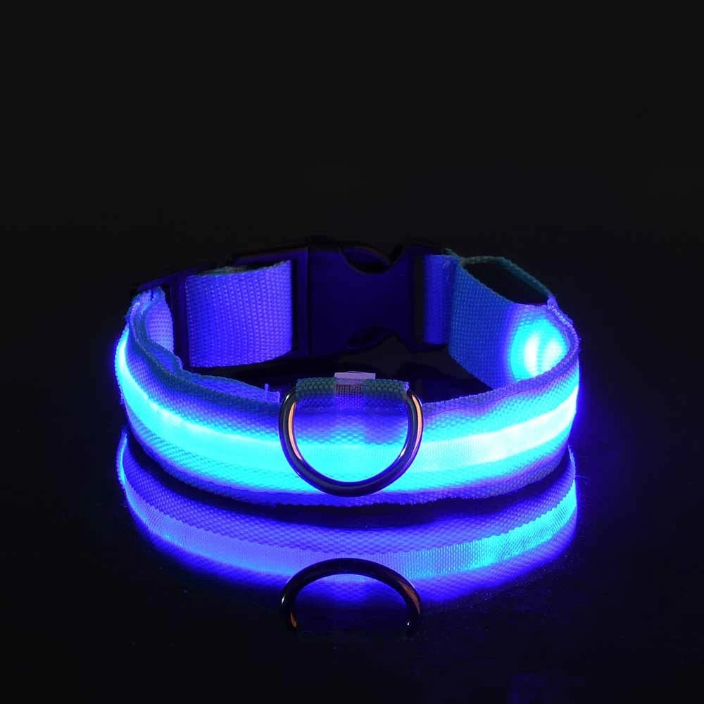 Light Up Their Walks – Glow-in-the-Dark Adjustable Dog Collar