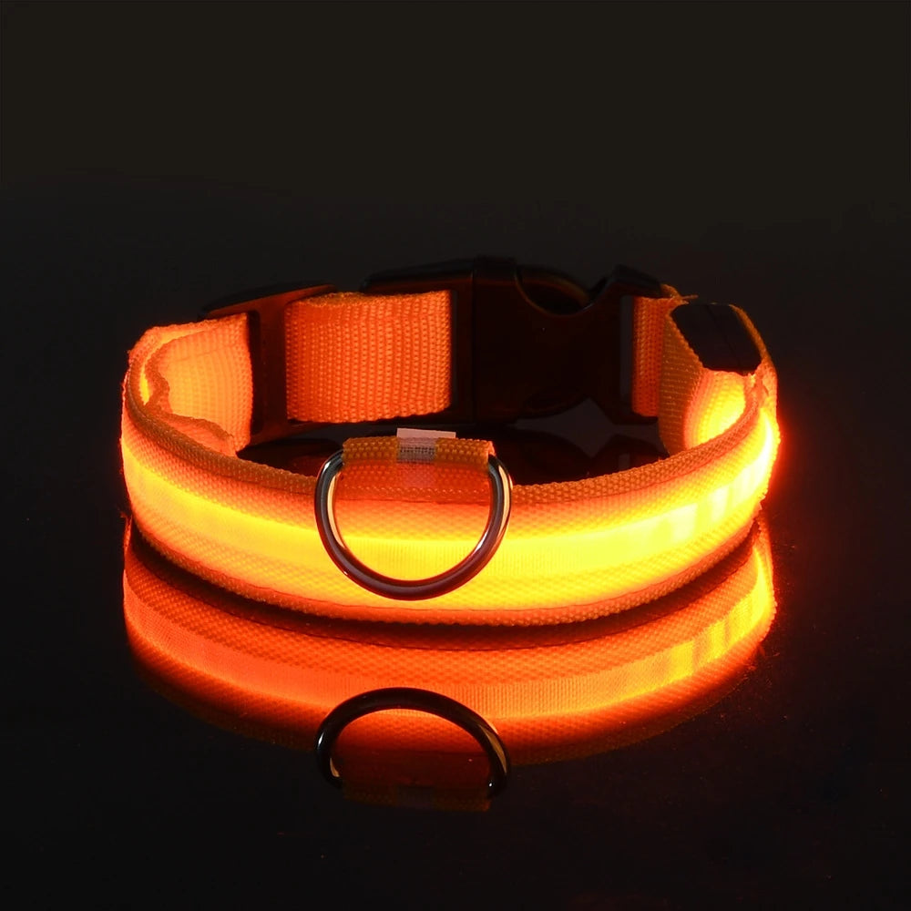 Light Up Their Walks – Glow-in-the-Dark Adjustable Dog Collar