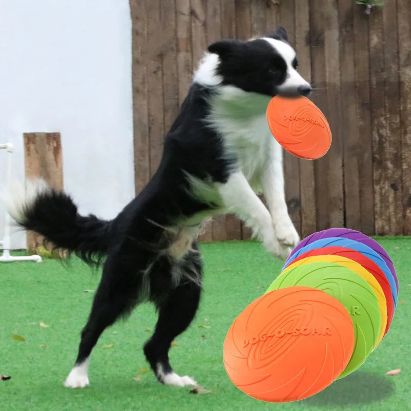 Flying Disc Dog Toy – Pure Fun, Energy, and Happy Jumps!