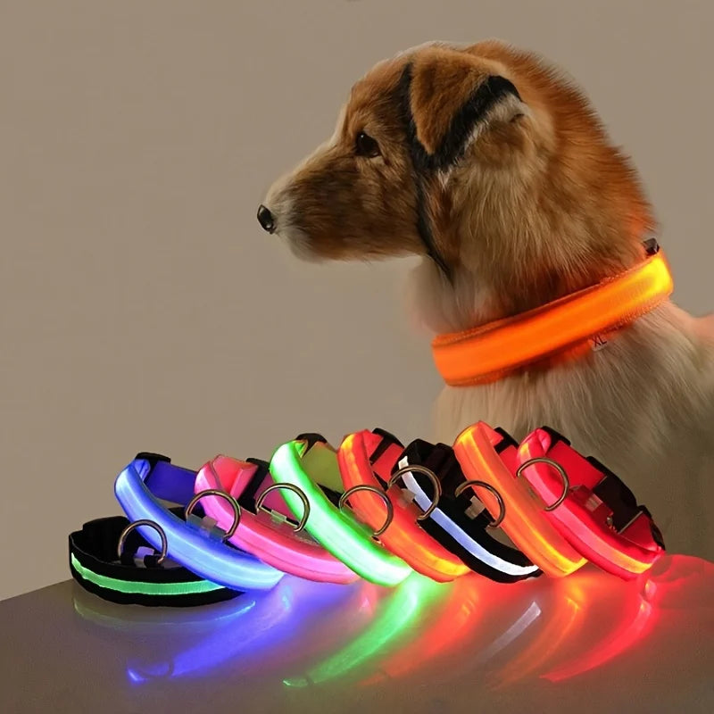 Light Up Their Walks – Glow-in-the-Dark Adjustable Dog Collar