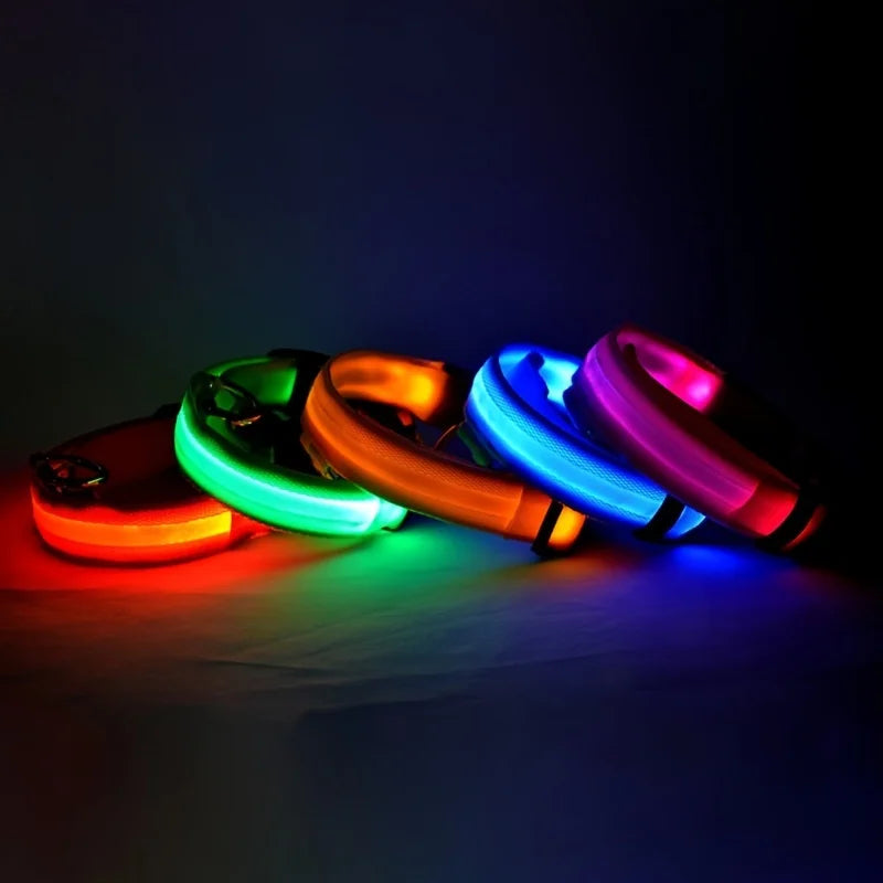 Light Up Their Walks – Glow-in-the-Dark Adjustable Dog Collar