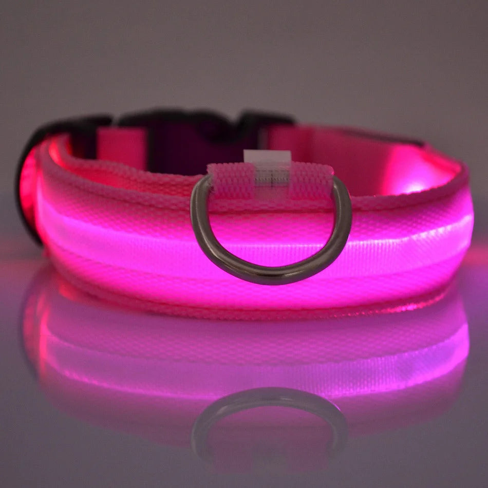 Light Up Their Walks – Glow-in-the-Dark Adjustable Dog Collar