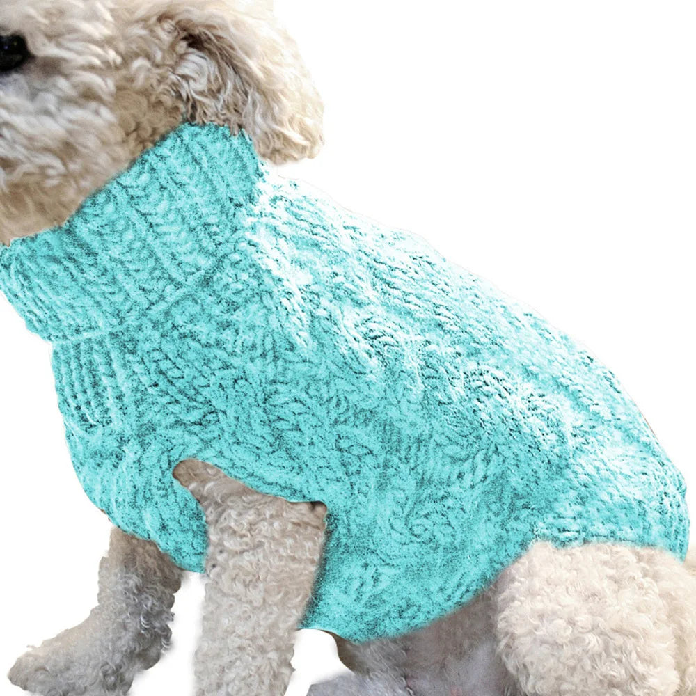 Cozy Style Your Dog Will Love to Wear