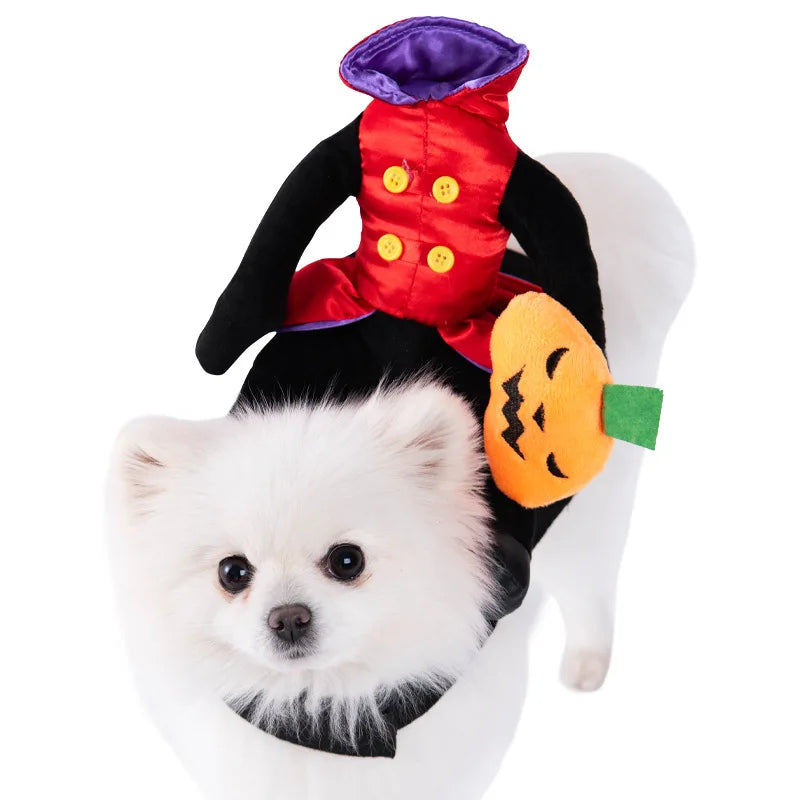 Dress Your Pet to Steal the Show!