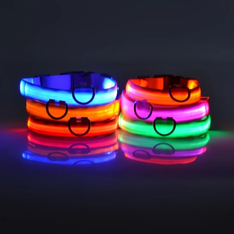 Light Up Their Walks – Glow-in-the-Dark Adjustable Dog Collar