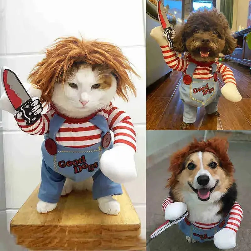 Dress Your Pet to Steal the Show!