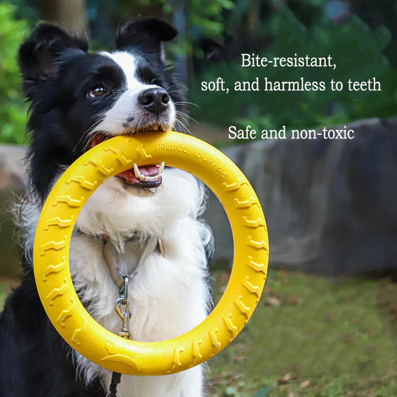 Endless Fun for Every Dog!