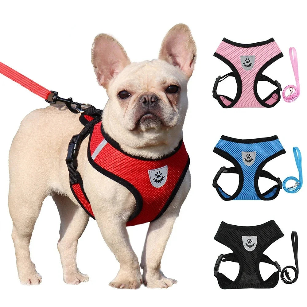 ComfortFit Dog Harness – Safer Walks, Happier Adventures!