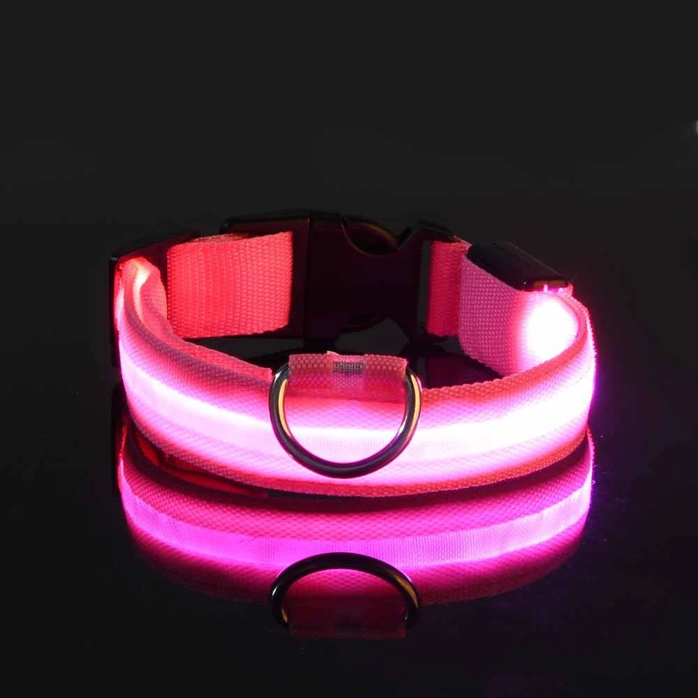 Light Up Their Walks – Glow-in-the-Dark Adjustable Dog Collar
