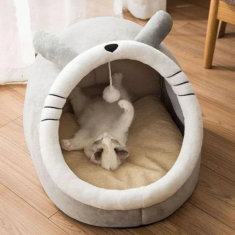 A Purr-fect Little Cave for Sweet Dreams!