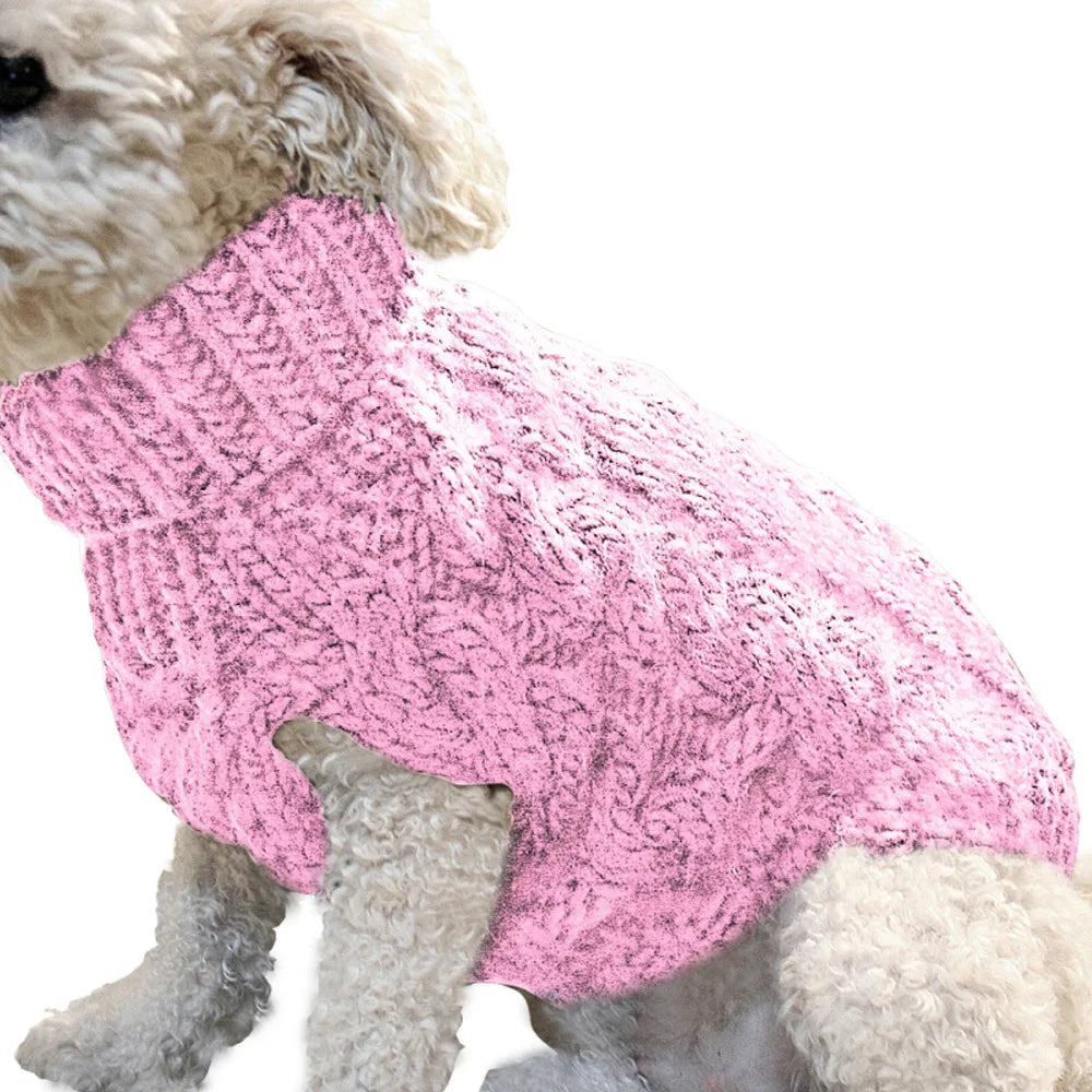 Cozy Style Your Dog Will Love to Wear