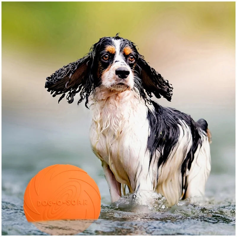 Flying Disc Dog Toy – Pure Fun, Energy, and Happy Jumps!
