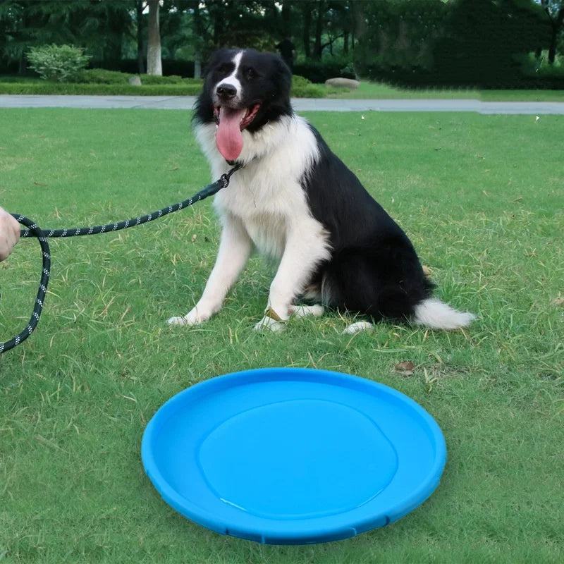 Flying Disc Dog Toy – Pure Fun, Energy, and Happy Jumps!