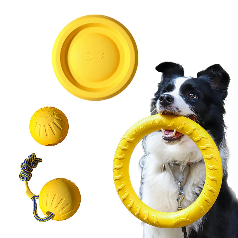 Endless Fun for Every Dog!