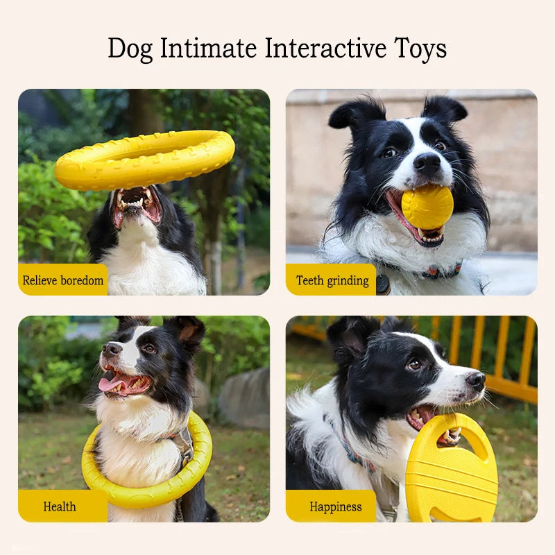 Endless Fun for Every Dog!