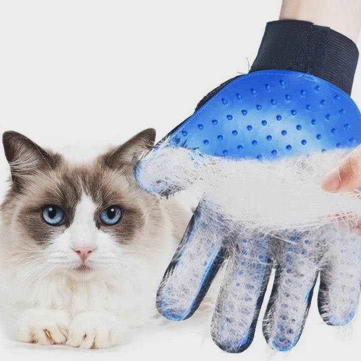 Goodbye Fur, Hello Cuddles – The Gentle Grooming Glove Your Pet Will Love!