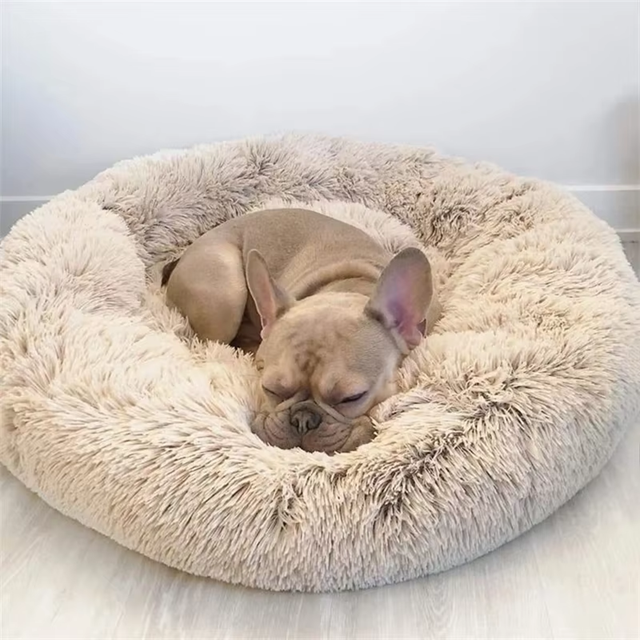 Donut-Shaped Bed Perfect For Taking With Your Pet Anywhere!